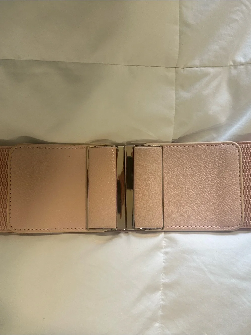 Elastic Wide Waist Belt in Blush Pink with Gold-Tone Buckle